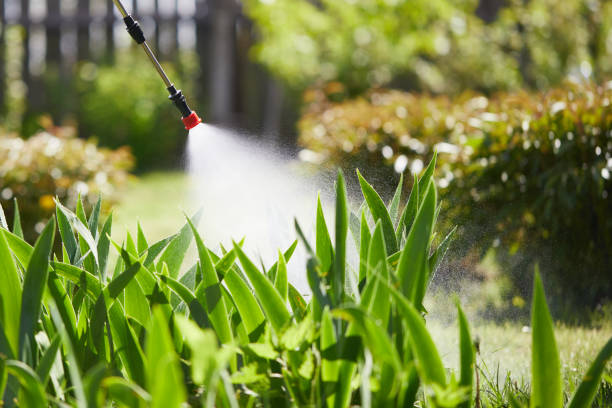 24/7 Emergency Cockroach Control experts in King George, VA