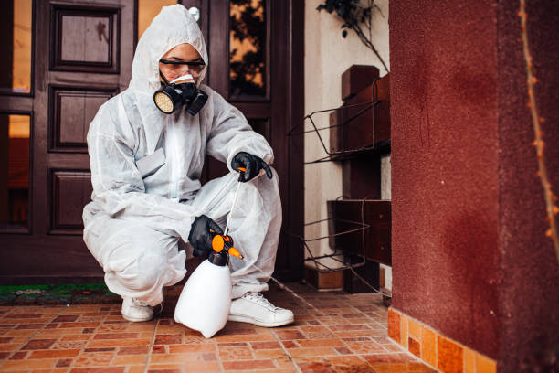 Reliable Cockroach Control contractor in King George, VA by Nex Pest Control