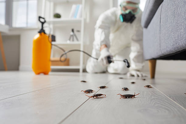 Affordable Cockroach Control solutions in King George, VA