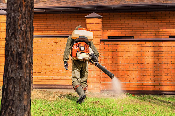Top rated local Cockroach Control specialists in King George, VA